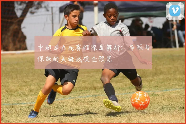中超后九轮赛程深度解析:争冠与保级的关键战役全预览